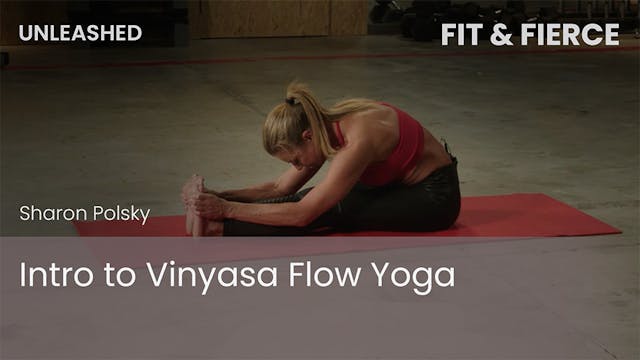 Intro to Vinyasa Flow Yoga