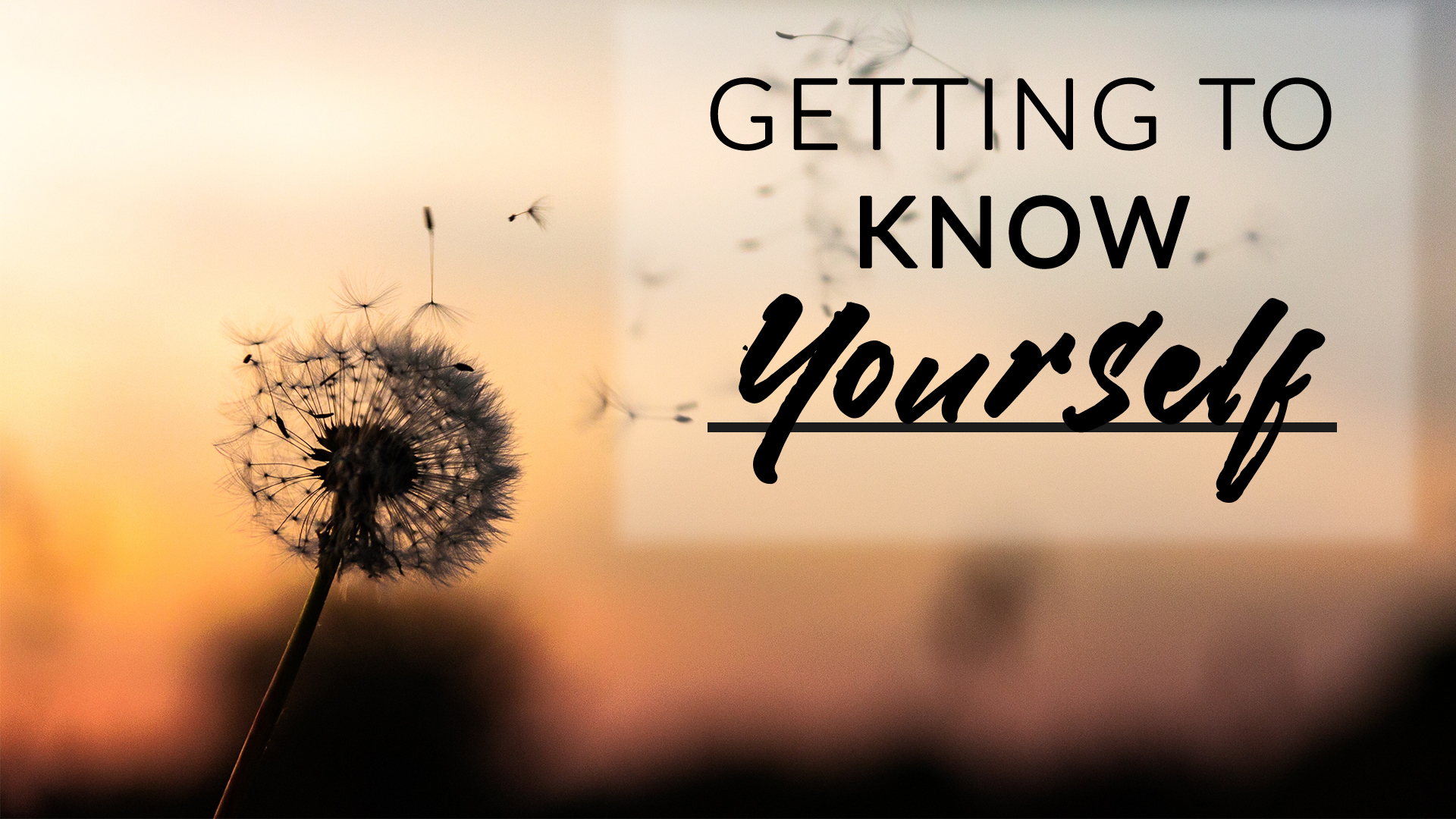 Getting to know yourself