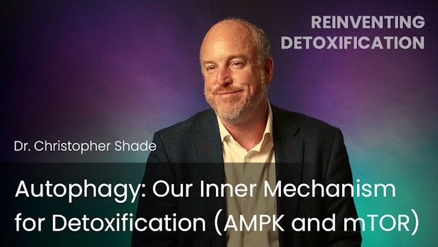 Autophagy: Our Inner Mechanism for Detoxification (AMPK and mTOR)