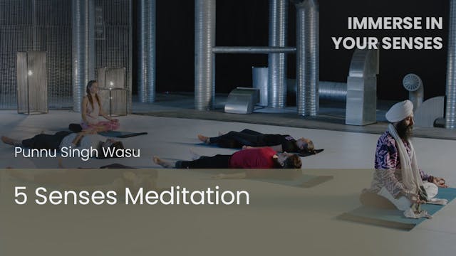 5 Senses Meditation