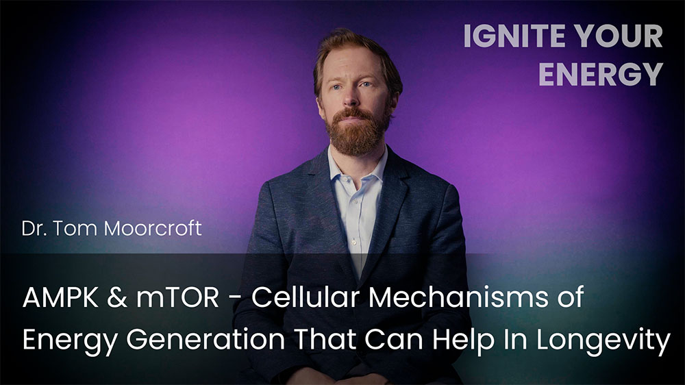 AMPK & mTOR - Cellular Energy Generation Mechanisms That Can Help In Longevity