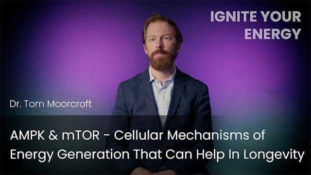 AMPK & mTOR - Cellular Energy Generat...
