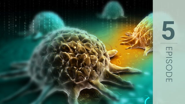 Cancer & Toxicity: Unroot the Hidden ...