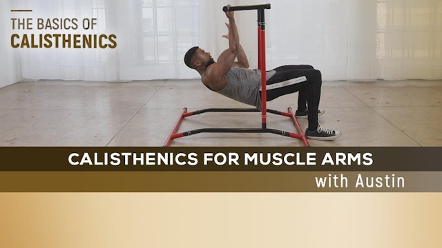 Calisthenics for Muscle Arms