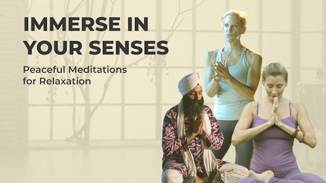 Immerse in Your Senses: Peaceful Meditations for Relaxation