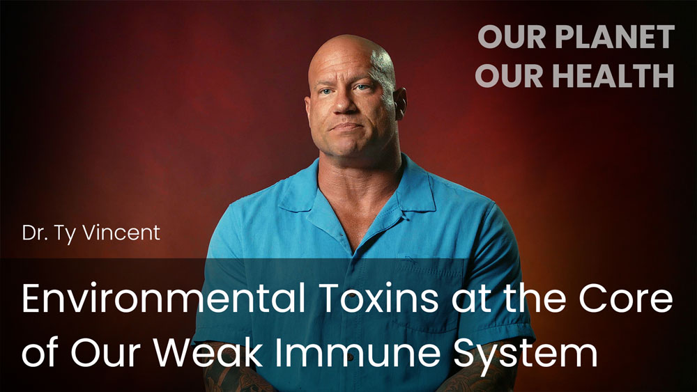 Environmental Toxins at the Core of Our Weak Immune System
