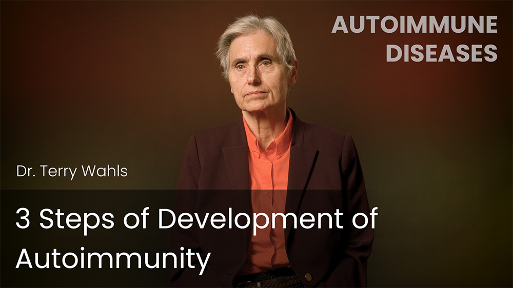 3 Steps of Development of Autoimmunity