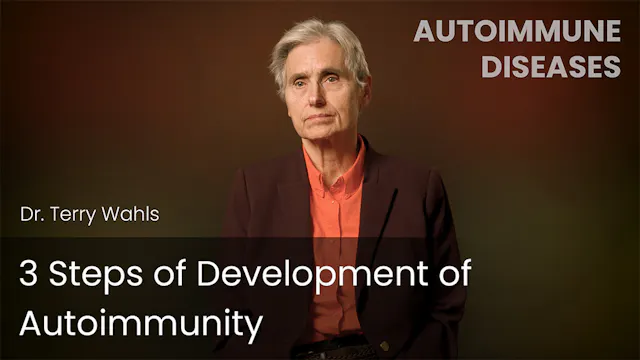 3 Steps of Development of Autoimmunity