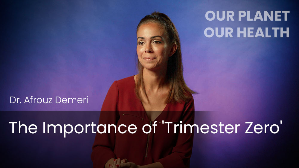 The Importance of 'Trimester Zero'