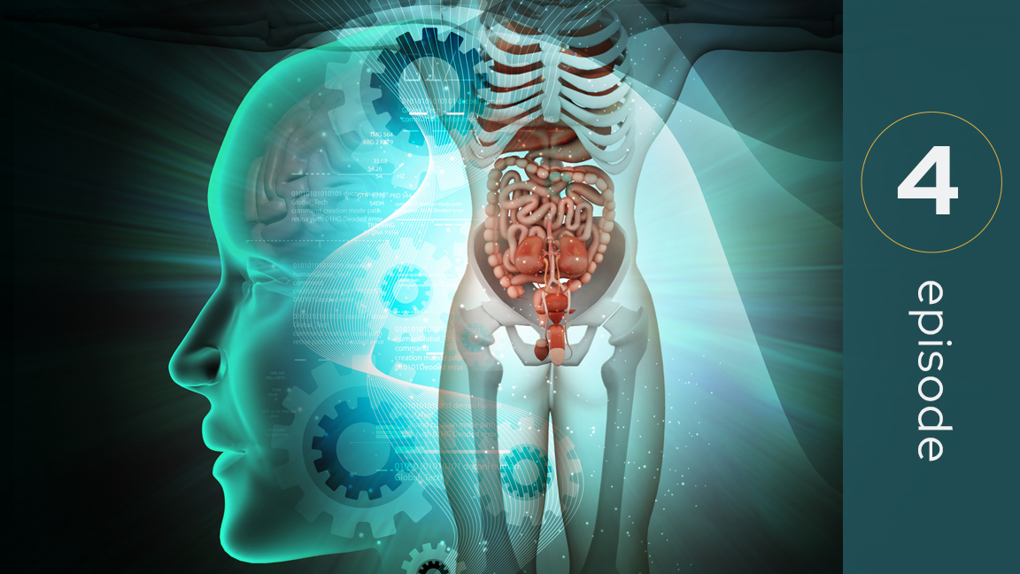 Body Tour: What Ages Our Skin, Brain & Gut the Most and How to Reverse the Signs