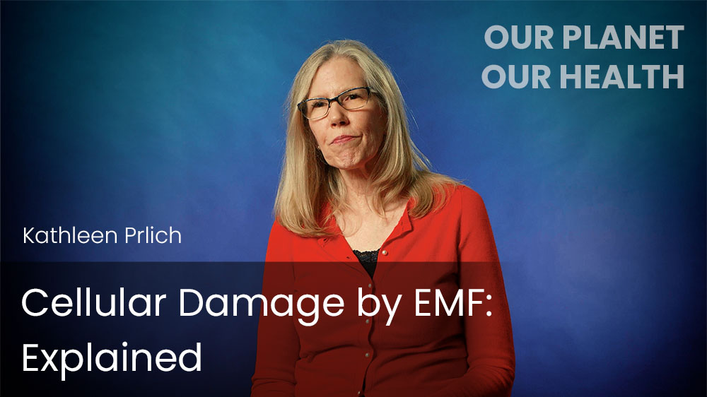 Cellular Damage by EMF - Explained