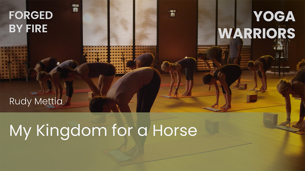 My Kingdom for a Horse