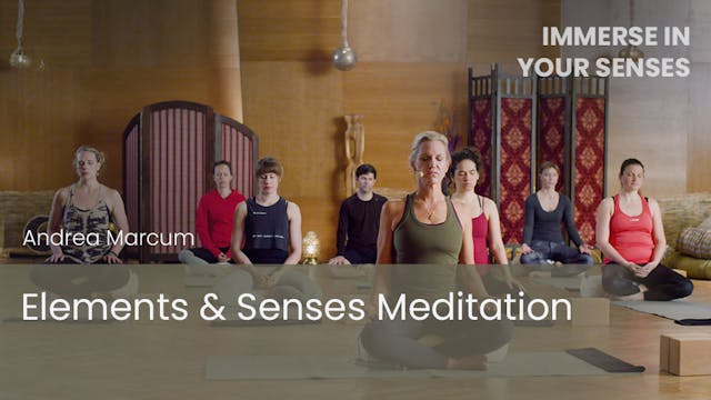 Elements & Senses Meditation