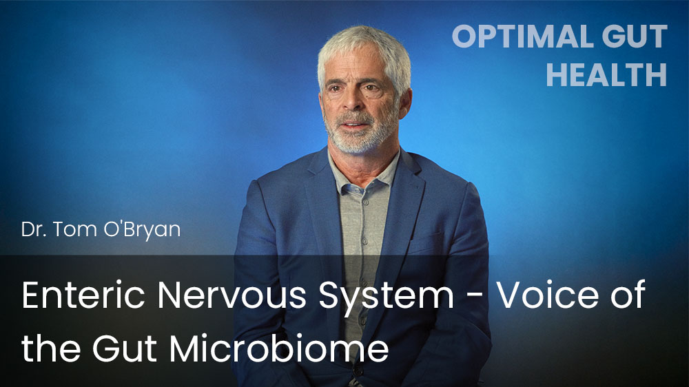 Enteric Nervous System - Voice of the Gut Microbiome