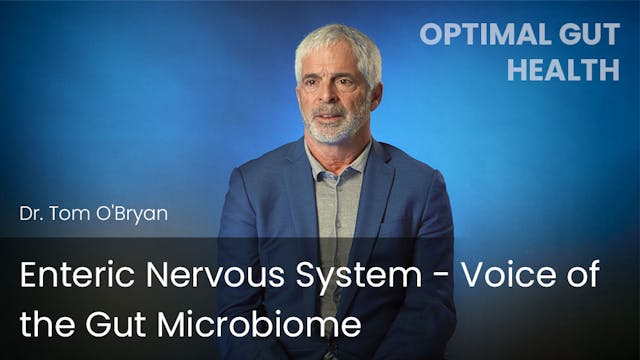 Enteric Nervous System - Voice of the...