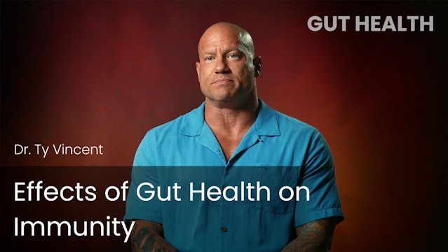 Effects of Gut Health on Immunity