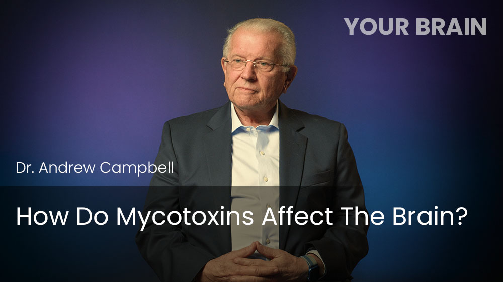 How Do Mycotoxins Affect The Brain?