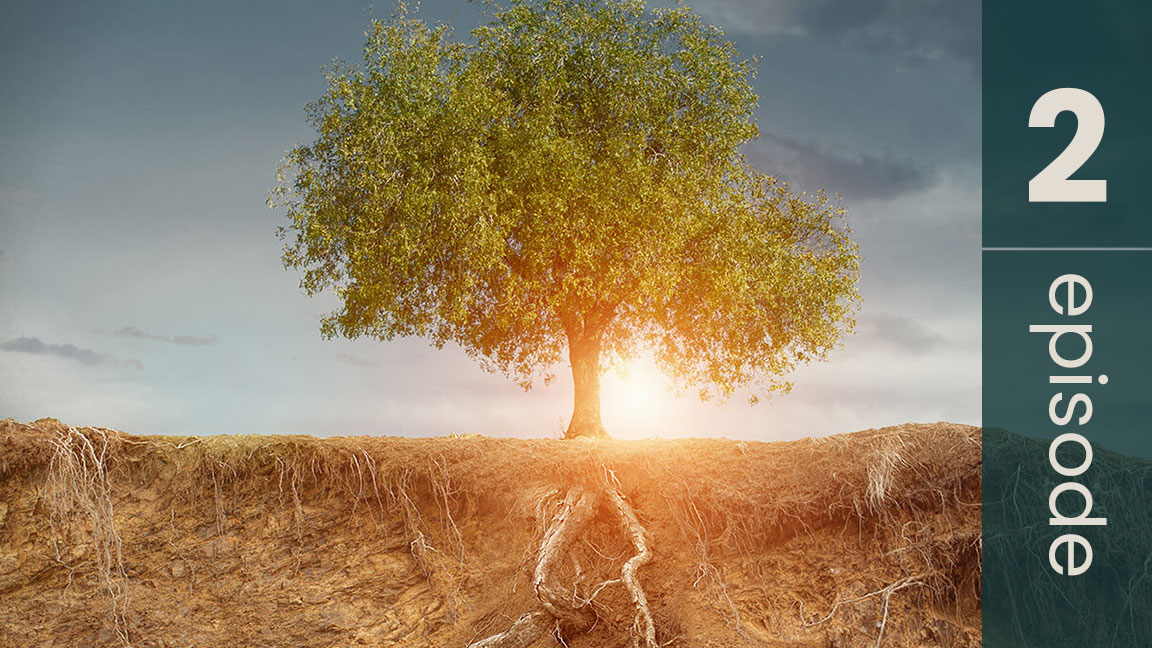 The Root Causes of Everyday Diseases - Discover the Triggers for Cancer and More