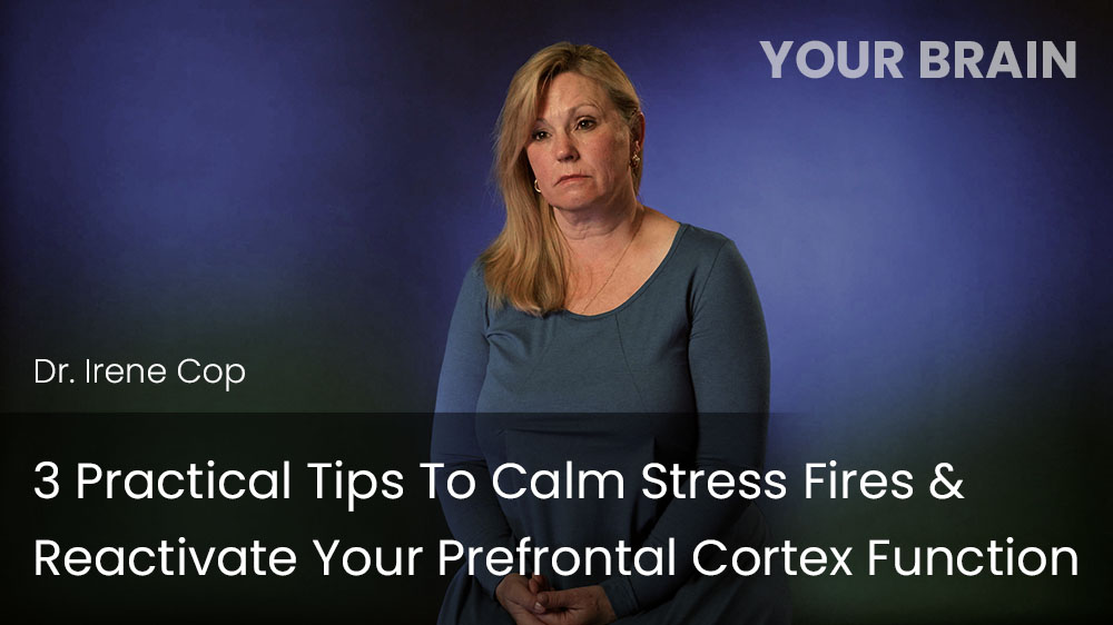 3 Practical Tips to Calm Stress Fires&Reactivate Your Prefrontal Cortex Functioх