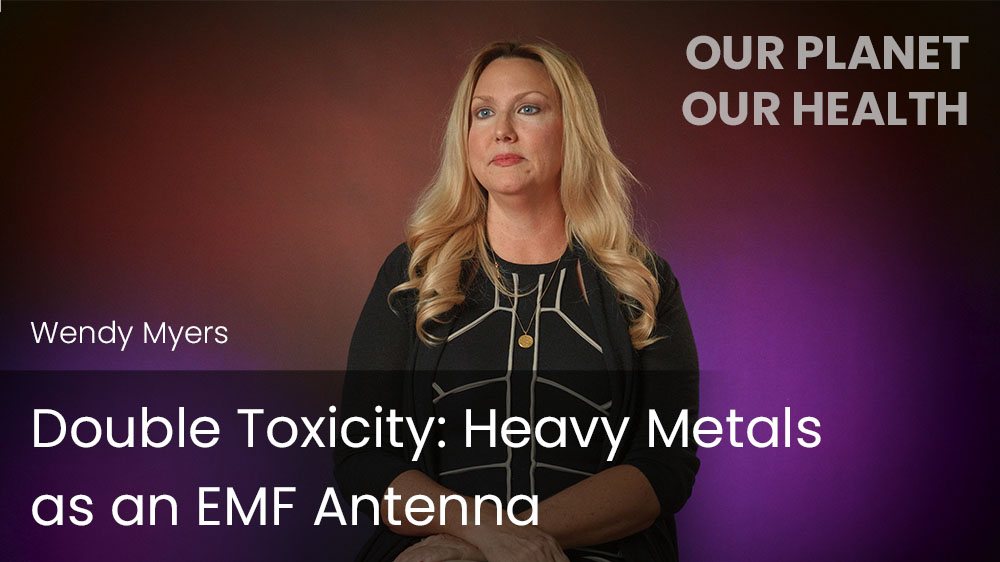 Double Toxicity- Heavy Metals as an EMF Antenna