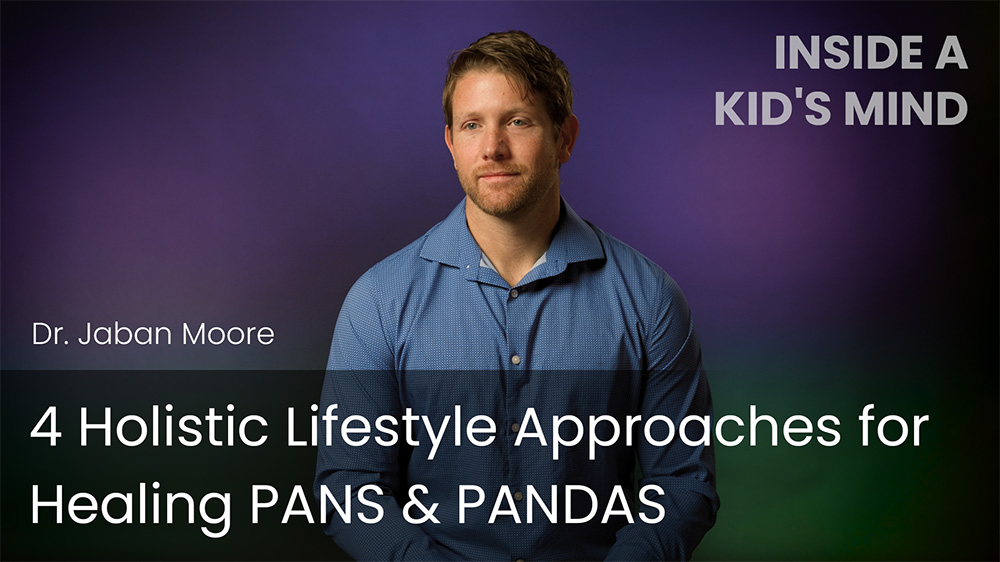 4 Holistic Lifestyle Approaches for Healing PANS & PANDAS