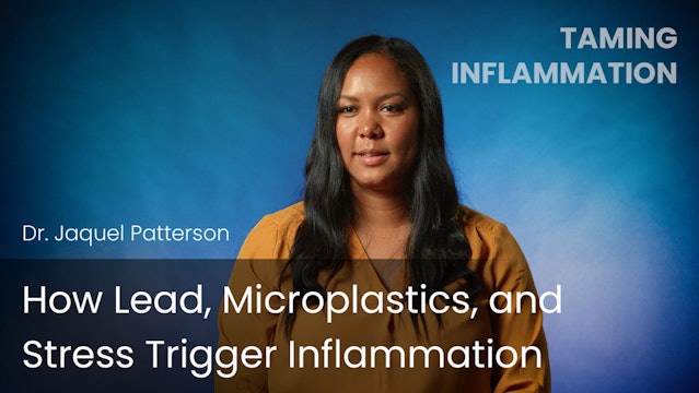 How Lead, Microplastics, and Stress Trigger Inflammation