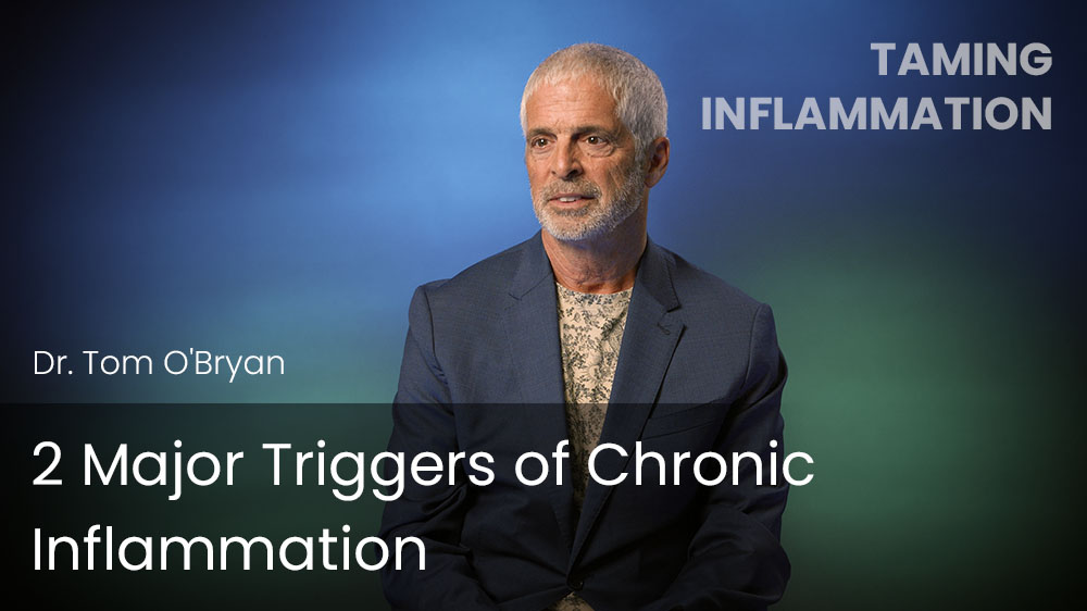 2 Major Triggers of Chronic Inflammation