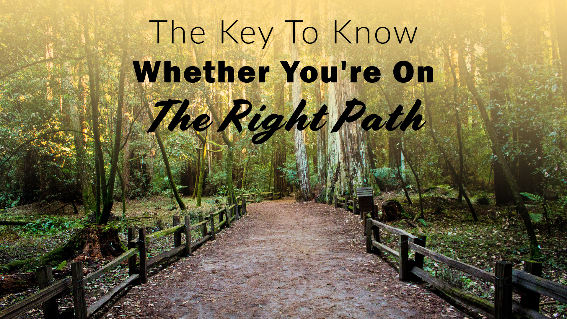 The Key To Know Whether You're On The Right Path
