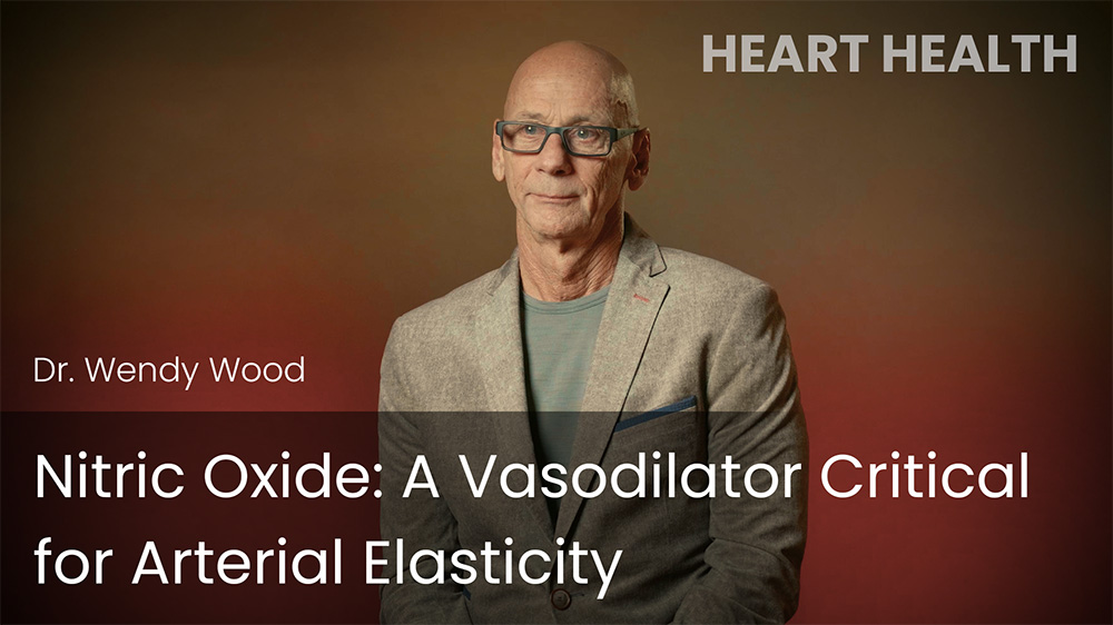 Nitric Oxide: A Vasodilator Critical for Arterial Elasticity