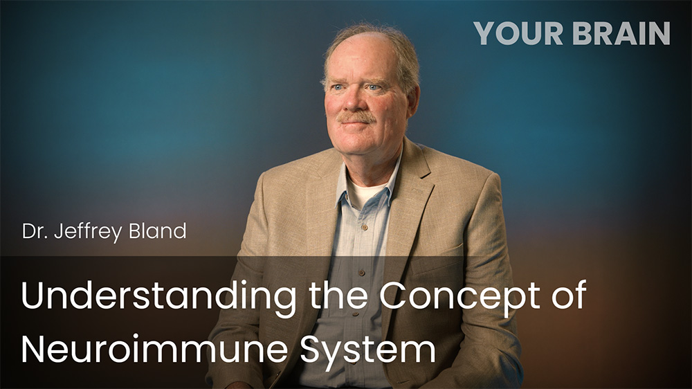 Understanding the Concept of Neuroimmune System