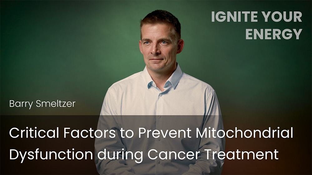 Critical Factors to Prevent Mitochondrial Dysfunction during Cancer Treatment