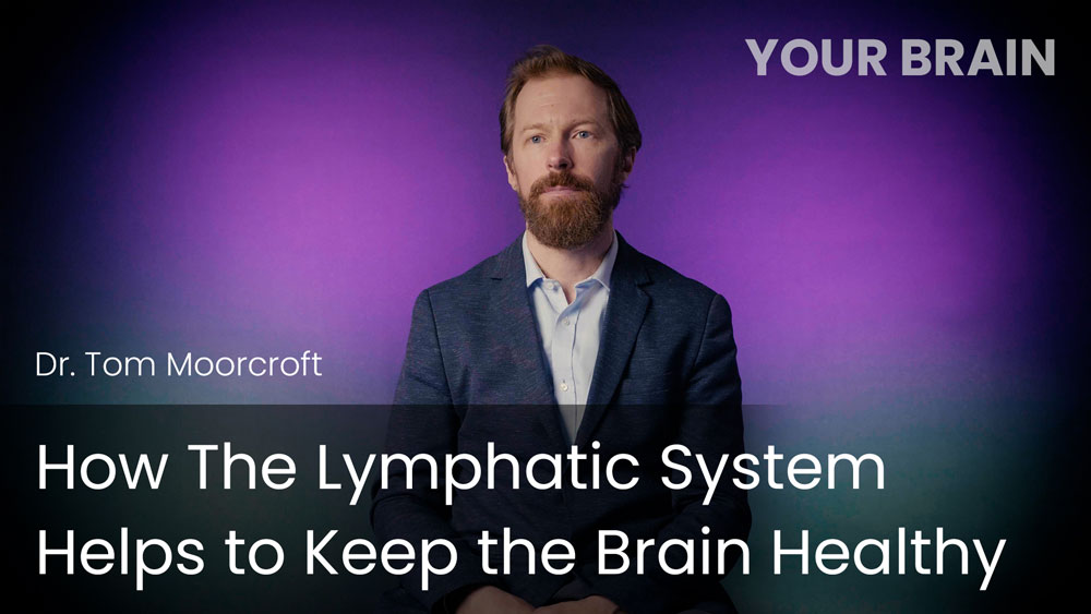 How The Lymphatic System Helps to Keep the Brain Healthy