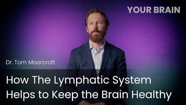 How The Lymphatic System Helps to Kee...