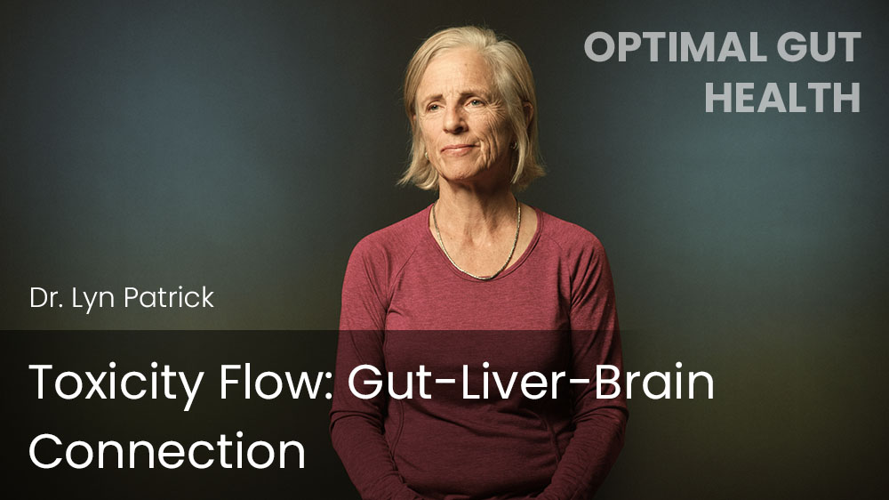 Toxicity Flow: Gut-Liver-Brain Connection