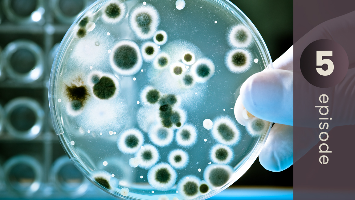 Toxin Detectives: Tests to Uncover the Root Cause