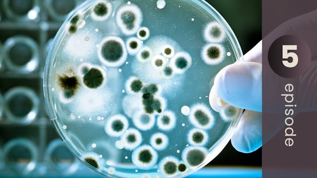 Toxin Detectives: Tests to Uncover th...