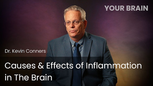 Causes & Effects of Inflammation in The Brain﻿
