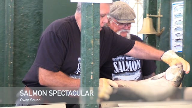 Salmon Spectacular 