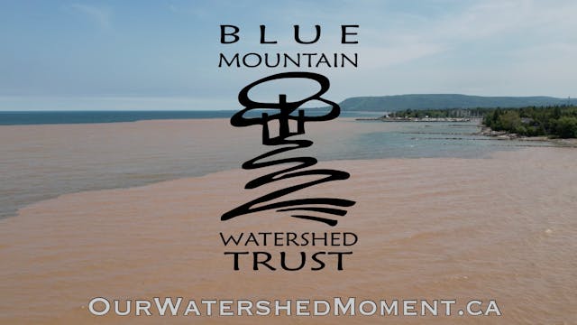 Blue Mountain Watershed Trust