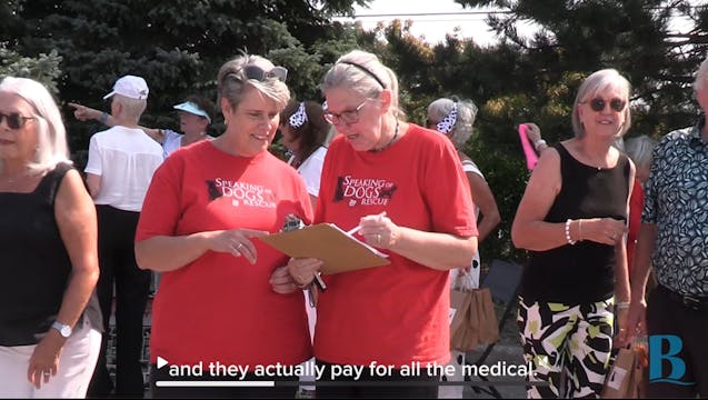 Rally for Rescue Dogs