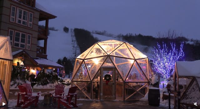 SnowDome Cocktail Garden