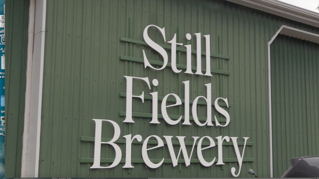  Still Fields Brewery Summer Market Series