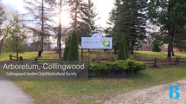 The Collingwood Garden Club & Arboretum