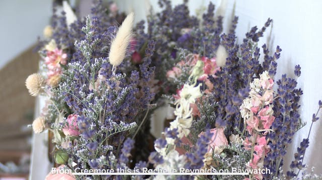 Purple Hill Lavender Farm