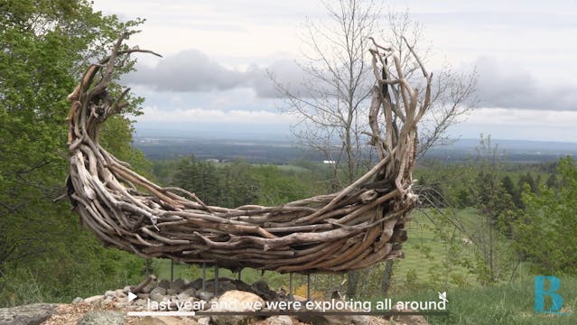 Art & Tree Trail