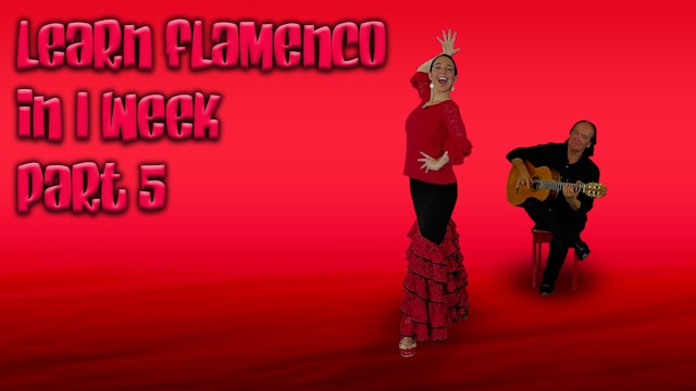 Learn Flamenco In 1 Week Part 5