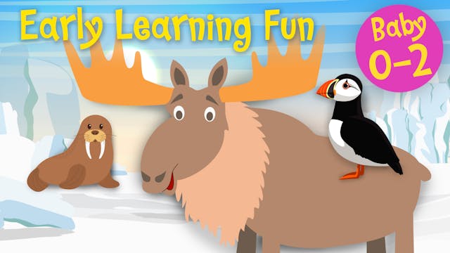 Polar Animals Vol.2 | Early Learning Fun