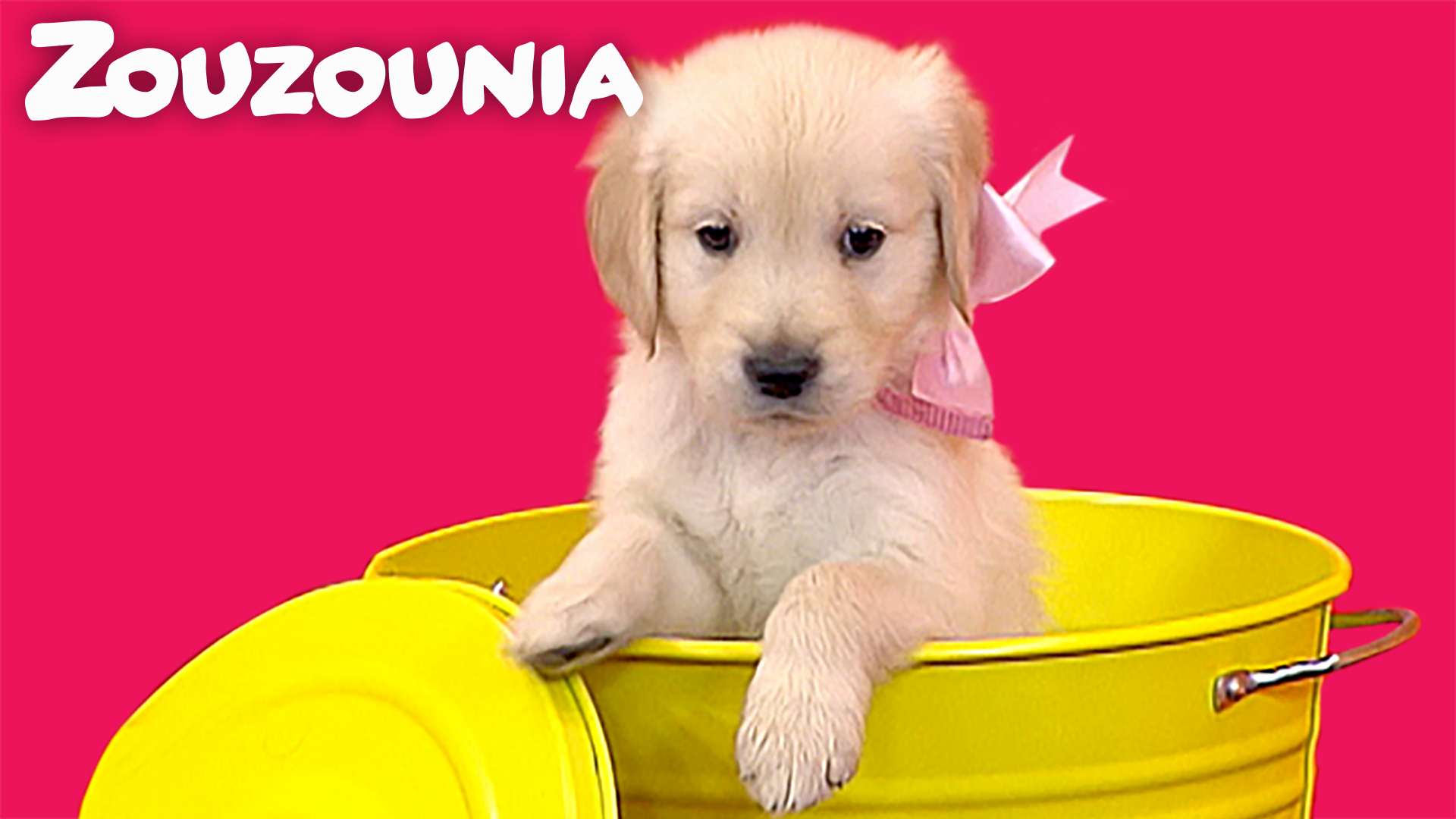 Σκυλάκια Κουταβάκια - Ζουζούνια