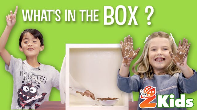 What's In The Box | Episode #4