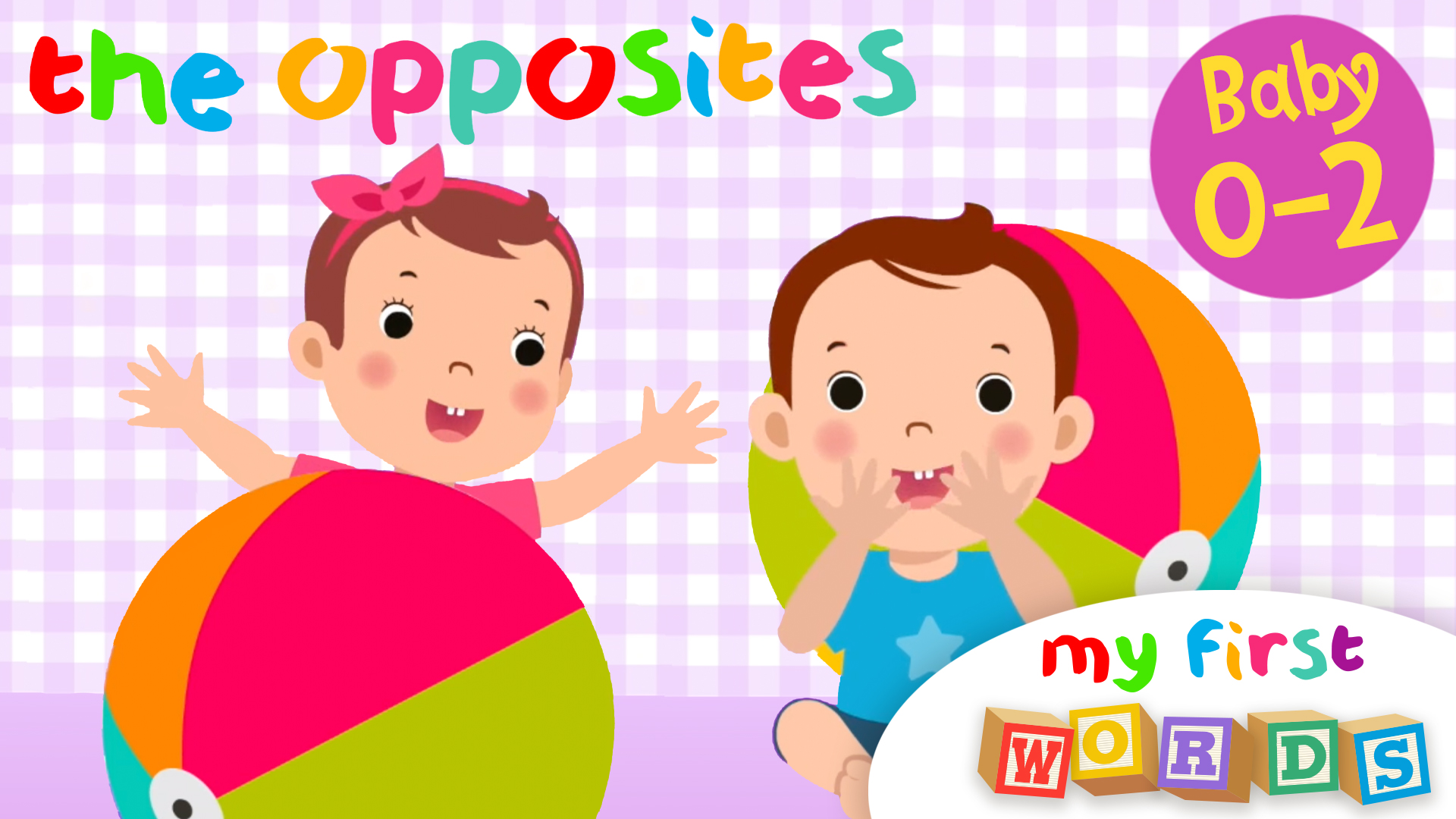 Opposites | My First Words